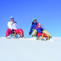 Rodeln©Fotolia