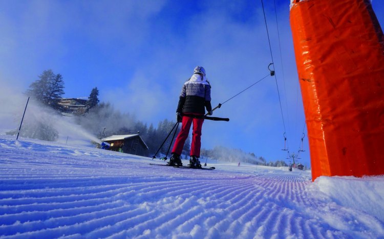 Stinesser ski©neumann-2