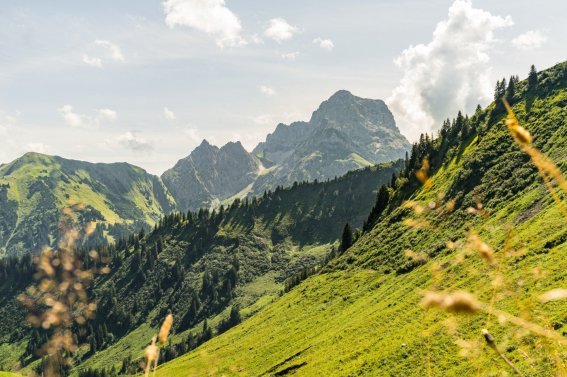 Wanderung durch das Derratal