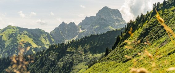 Wanderung durch das Derratal