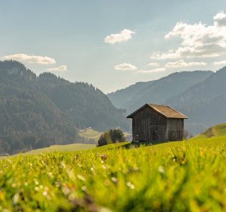 Malerwinkel im Frühling