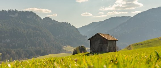 Malerwinkel im Frühling