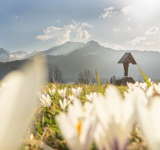 Frühlingsstimmung am Moorweiher