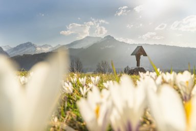 Frühlingsstimmung am Moorweiher