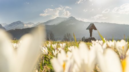 Frühlingsstimmung am Moorweiher