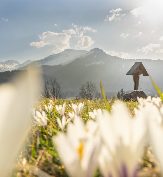 Frühlingsstimmung am Moorweiher