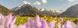 Frühlingsstimmung am Moorweiher