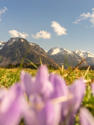 Frühlingsstimmung am Moorweiher