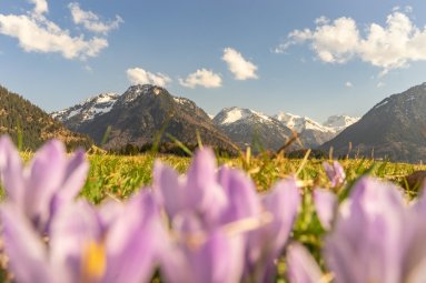 Frühlingsstimmung am Moorweiher