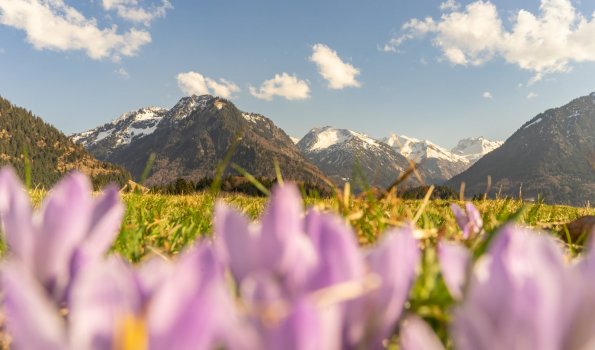 Frühlingsstimmung am Moorweiher