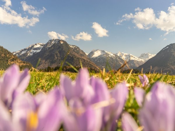 Frühlingsstimmung am Moorweiher