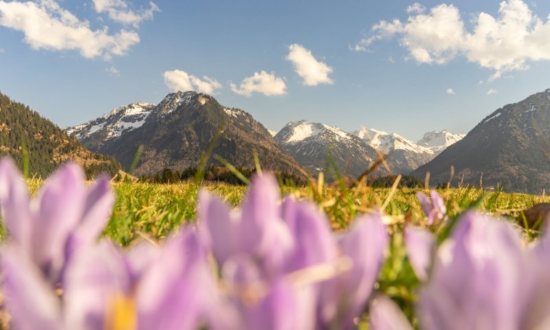 Frühlingsstimmung am Moorweiher
