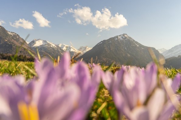 Frühlingsstimmung am Moorweiher