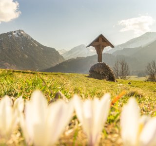 Frühlingsstimmung am Moorweiher