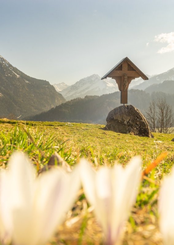 Frühlingsstimmung am Moorweiher