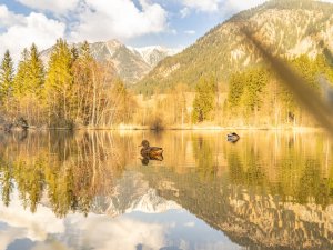 Frühlingsstimmung am Moorweiher
