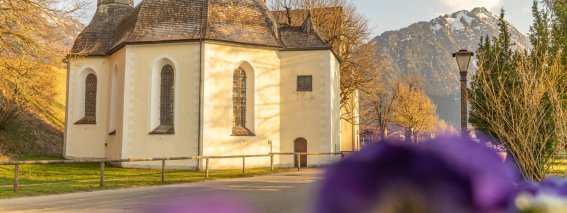 Frühlingsstimmung am Moorweiher