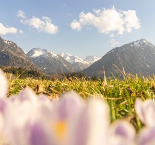 Frühlingsstimmung am Moorweiher