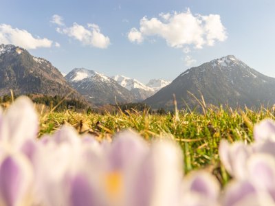 Frühlingsstimmung am Moorweiher