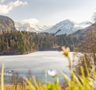 Frühling am Freibergsee