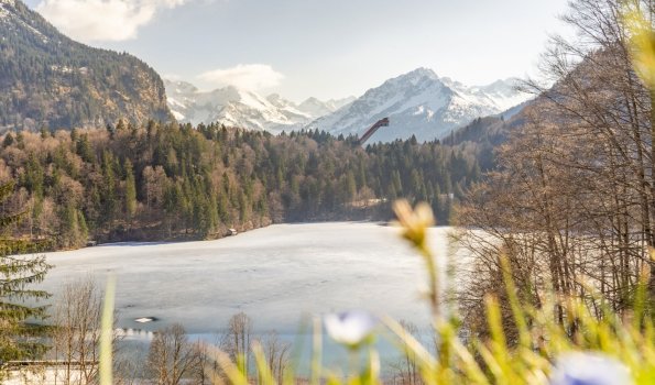 Frühling am Freibergsee