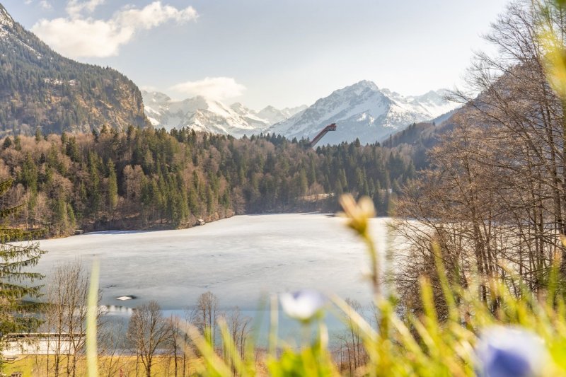 Frühling am Freibergsee