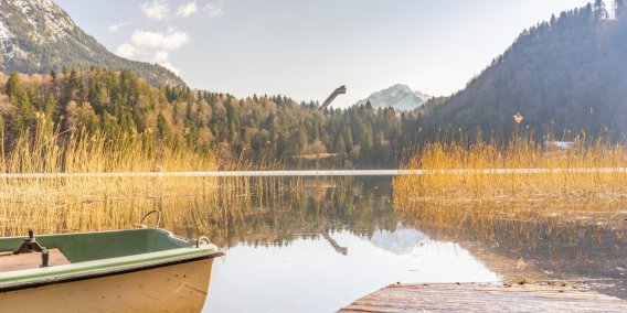 Frühling am Freibergsee