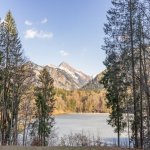 Frühling am Freibergsee