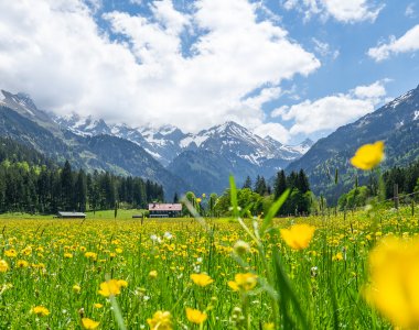 Stillachtal im Mai