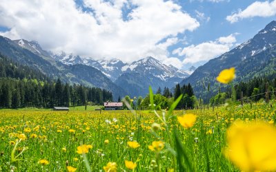 Stillachtal im Mai