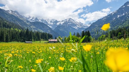 Stillachtal im Mai