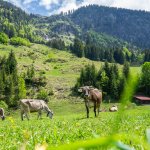 Stillachtal im Mai 