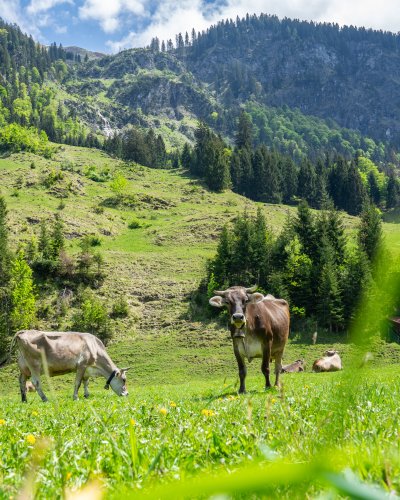 Stillachtal im Mai 