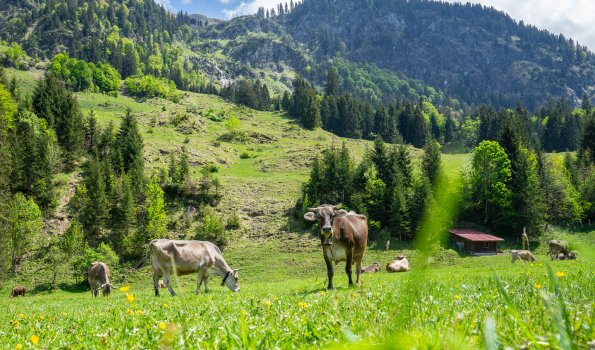 Stillachtal im Mai 