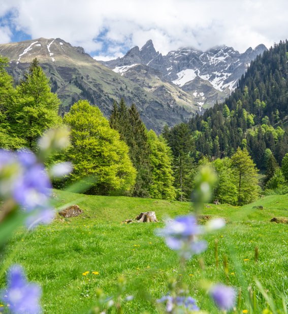 Rappenalptal im Mai