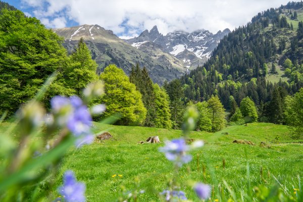 Rappenalptal im Mai