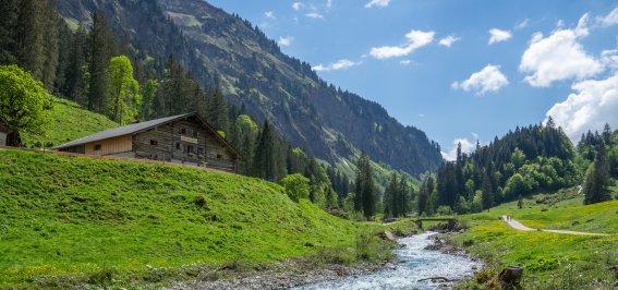 Rappenalptal im Mai