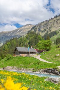 Rappenalptal im Mai