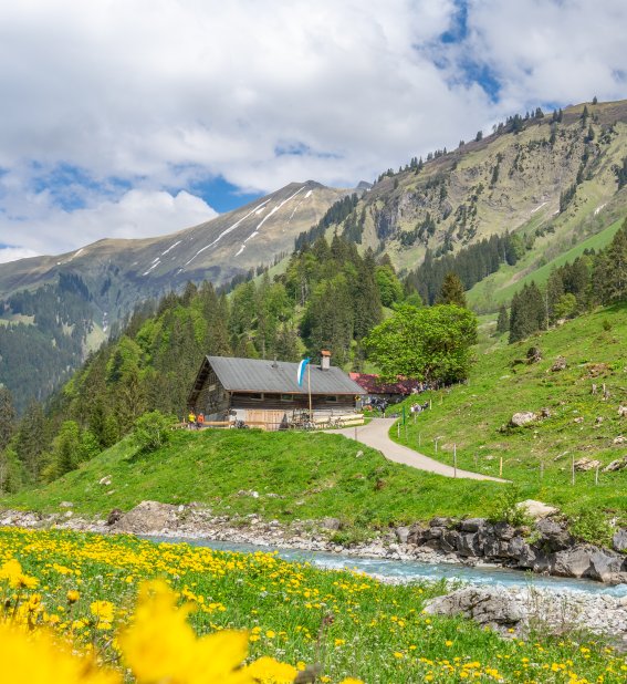 Rappenalptal im Mai