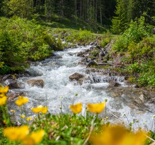 Rappenalptal im Mai