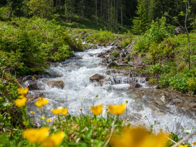 Rappenalptal im Mai
