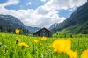 Rappenalptal im Mai