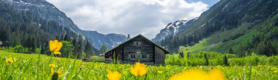 Rappenalptal im Mai