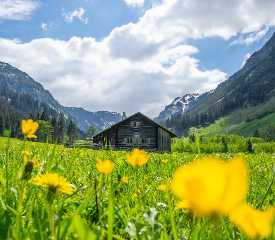 Rappenalptal im Mai
