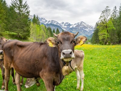 Rappenalptal im Mai