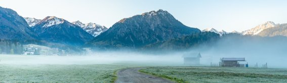  Morgens in den Wiesen 