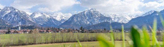 Der Frühling rückt näher 