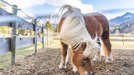 Der Frühling rückt näher 