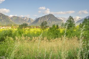 Sommer Spaziergang 