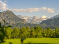 Sommer Spaziergang 
